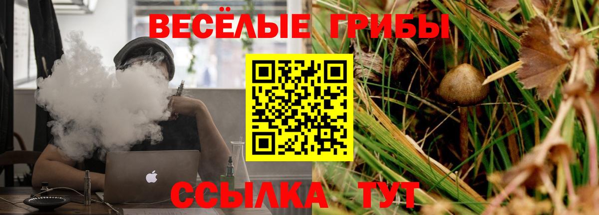 Псилоцибиновые грибы мицелий Кириши